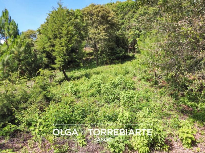 Terreno en El Pulté Golf — foto 4 de 10