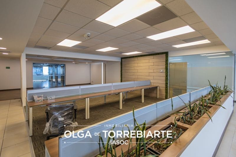 Penthouse en Zona Pradera, zona 10 — foto 13 de 16