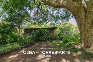 Terreno en Atitlan, Pajaibal de la Sirena — miniatura 4 de 13