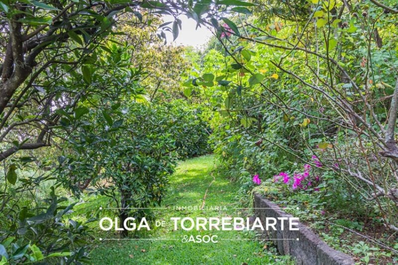 Terreno en Atitlan, Pajaibal de la Sirena — foto 8 de 13