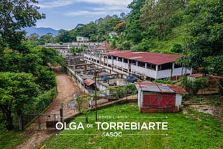 Finca en Pueblo Nuevo Viñas  — miniatura 2 de 17