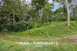 Finca en Pueblo Nuevo Viñas  — miniatura 4 de 17