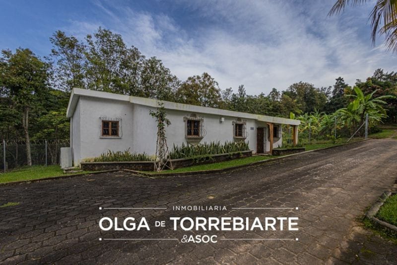 Finca en Pueblo Nuevo Viñas — foto 5 de 17