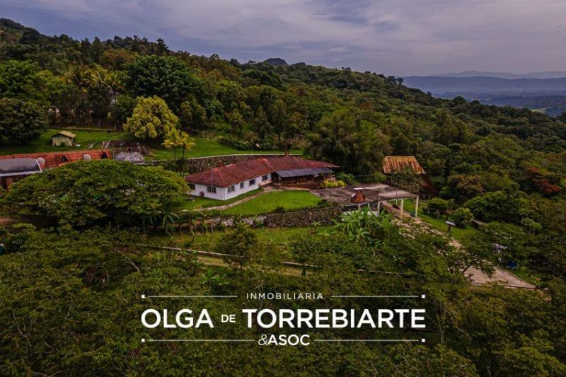 Finca en Pueblo Nuevo Viñas — foto 1 de 17