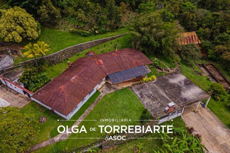 Finca en Pueblo Nuevo Viñas — foto 14 de 17