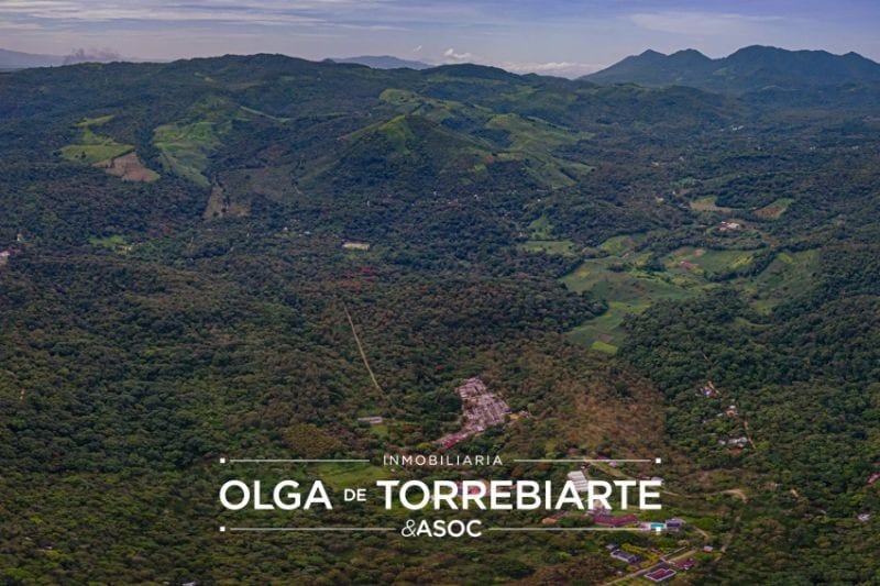 Finca en Pueblo Nuevo Viñas — foto 17 de 17