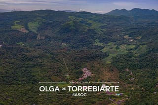 Finca en Pueblo Nuevo Viñas  — miniatura 17 de 17
