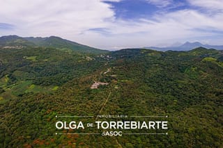 Finca en Pueblo Nuevo Viñas  — miniatura 16 de 17