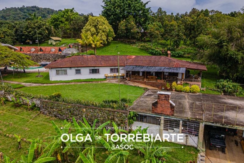 Finca en Pueblo Nuevo Viñas — foto 10 de 17