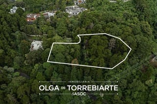 Terreno en Residencial San Miguel Buena Vista — miniatura 7 de 7