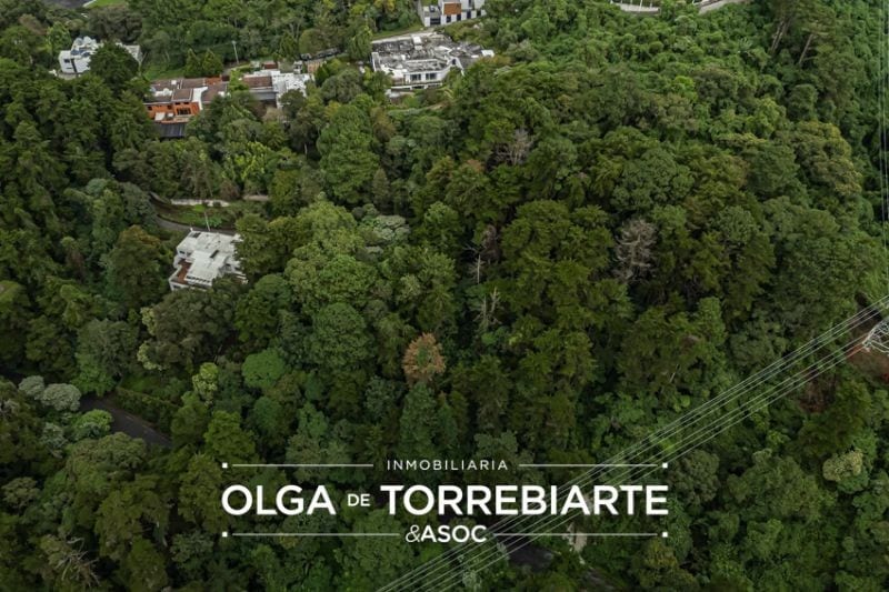Terreno en Residencial San Miguel Buena Vista — foto 4 de 7