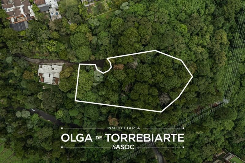 Terreno en Residencial San Miguel Buena Vista — foto 1 de 7