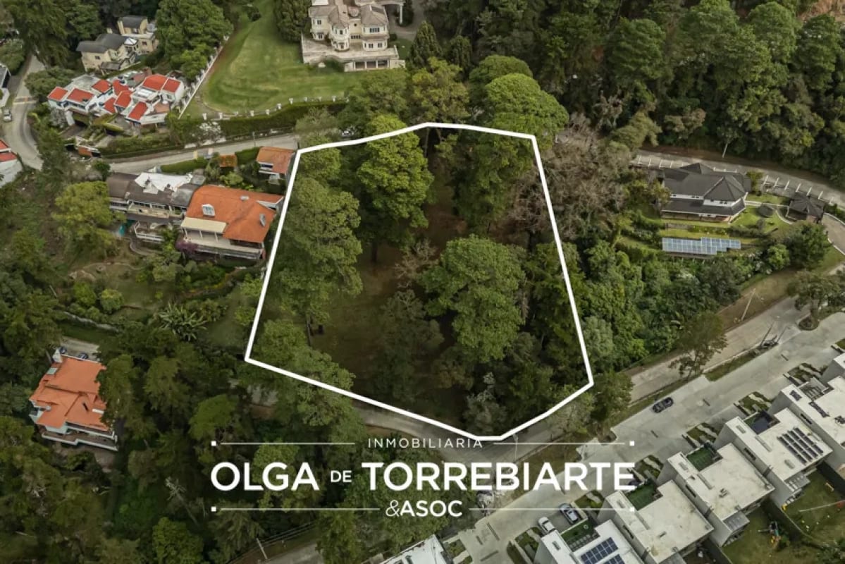Terreno en San Miguel Buena Vista — foto 4 de 4