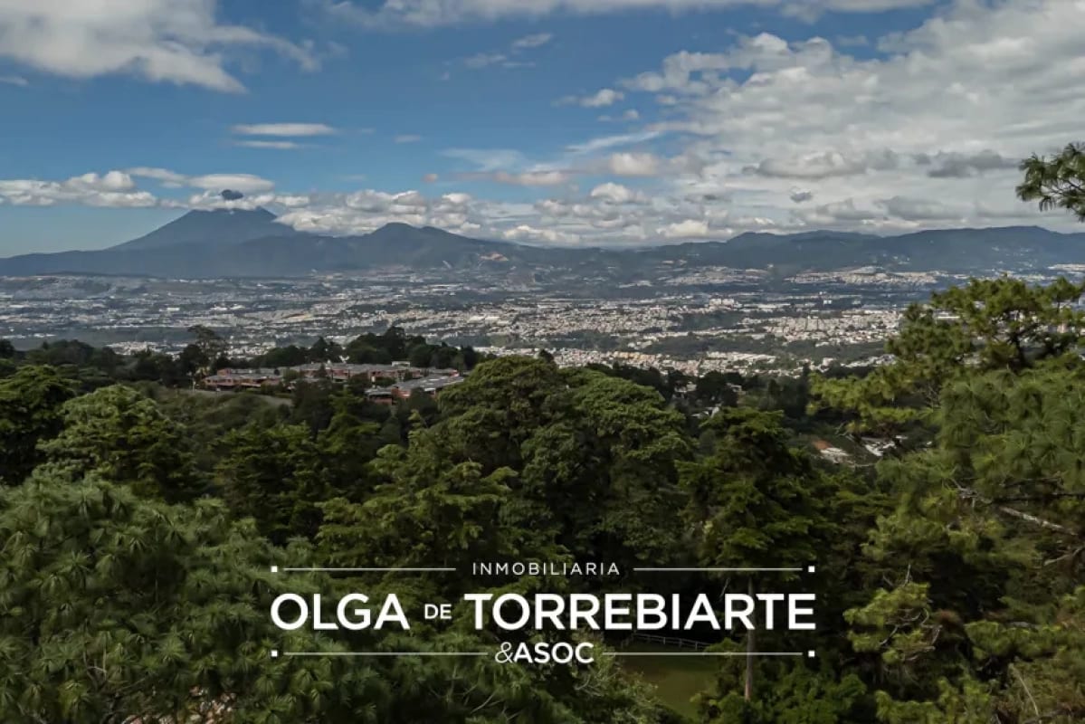 Terreno en San Miguel Buena Vista — foto 3 de 4