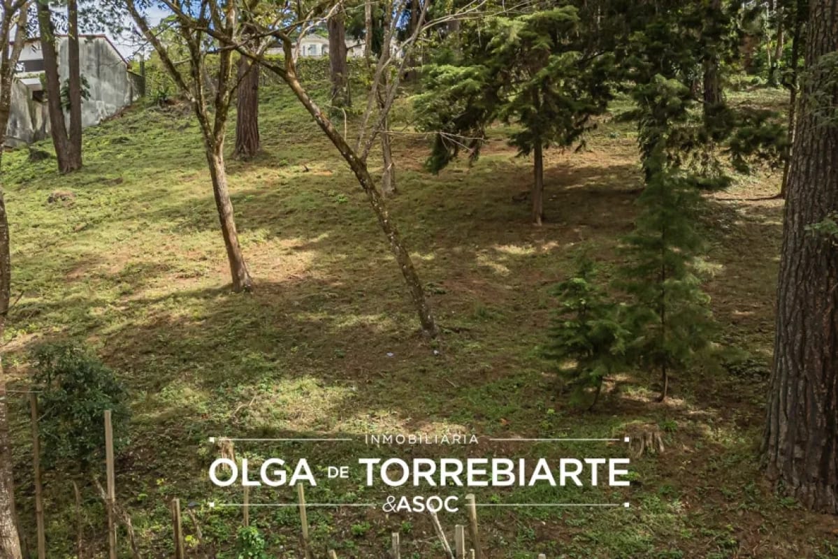 Terreno en San Miguel Buena Vista — foto 2 de 4