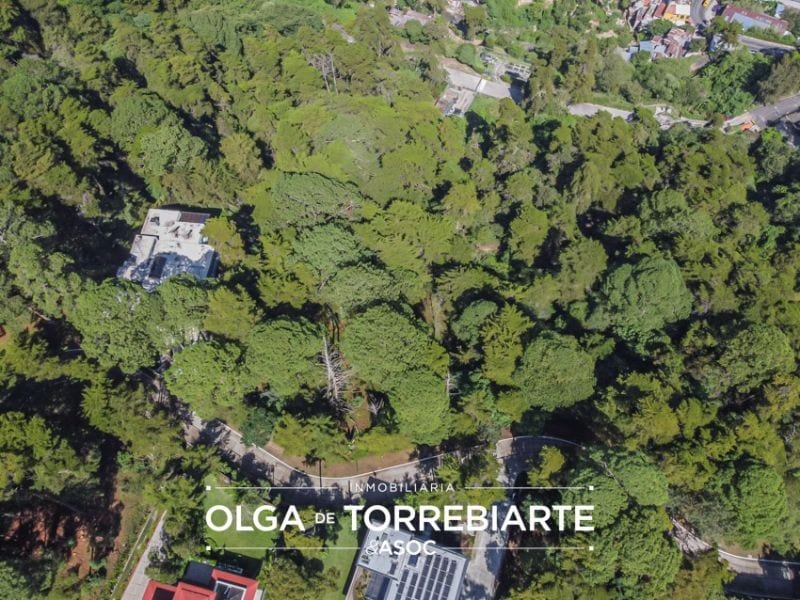 Terreno en Condominio Lomas del Bosque — foto 3 de 3
