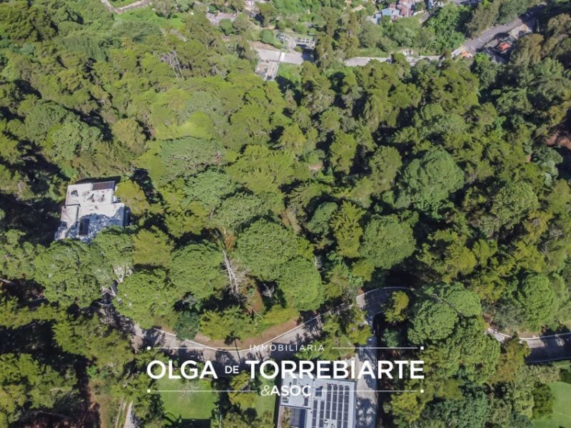 Terreno en Condominio Lomas del Bosque — foto 2 de 3