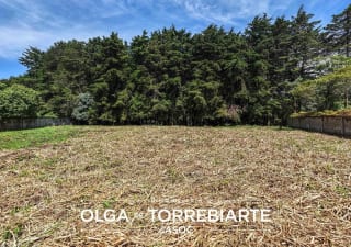 Terreno en Casa y Campo — miniatura 2 de 3