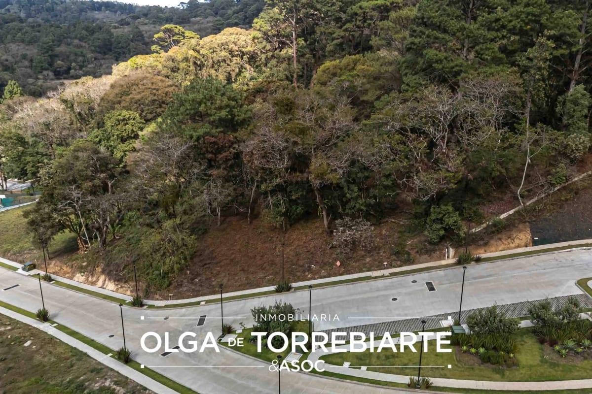 Terreno en Serrá, San Miguel Buena Vista — foto 2 de 4