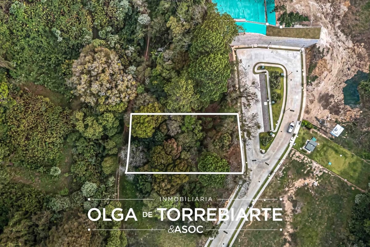 Terreno en Serrá, San Miguel Buena Vista — foto 3 de 4